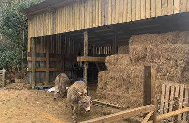 Idyllic cottage escape in Oxfordshire countryside - Foto 29