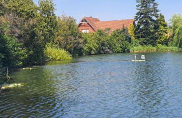 Oase am Deich - Photo 38