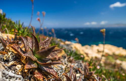 Résidence Saint Cyprien Plage - Foto 116
