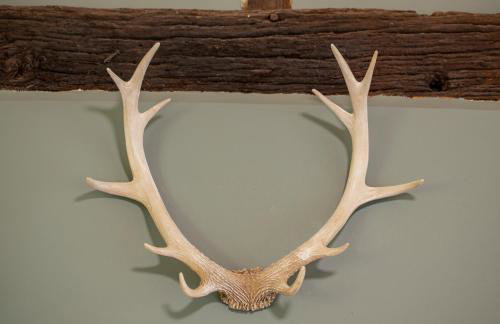 The Old Stables at Humblebee Hall - Foto 41