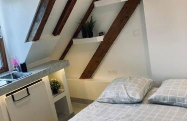 Petit nid sympa a Strasbourg - Foto 12