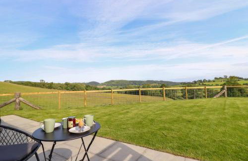 Defaid Cymreig - Foto 22