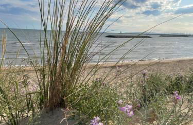 Les pins du Capri - Meublé de tourisme 3 étoiles - Foto 25