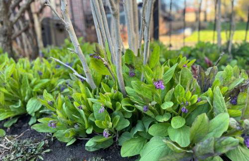 Urban Oasis - Kid Friendly - Quiet Street - Foto 36