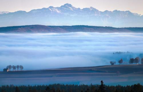 Apartment Fürderer by Interhome - Foto 9