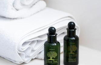 Pueblo viejo boutique house - Foto 39