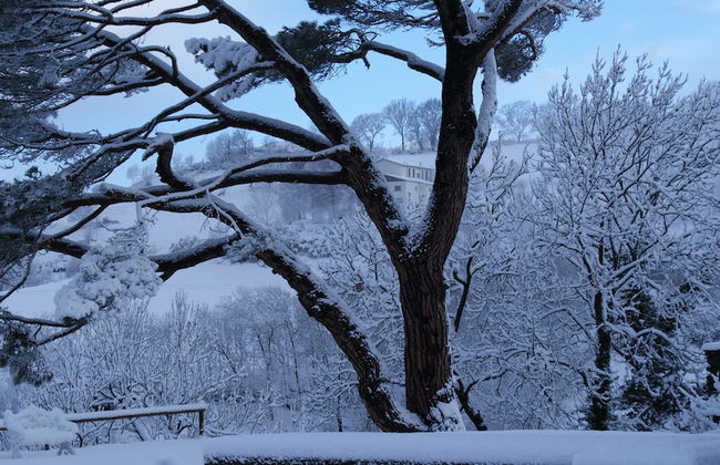 La Costa de Mollo - Foto 60