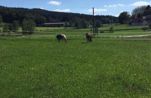 Haus am Treffenbach - Foto 19