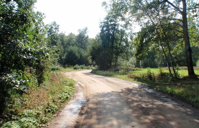 Chalet in Antwerp Near Bobbejaanland Park - Foto 23