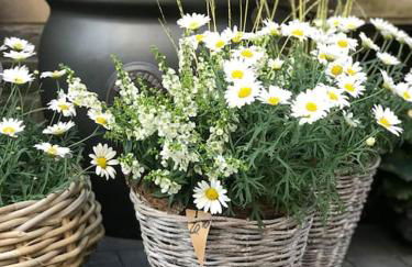 Ferienwohnung Fleckeby Schlei Fjord Light - Foto 41