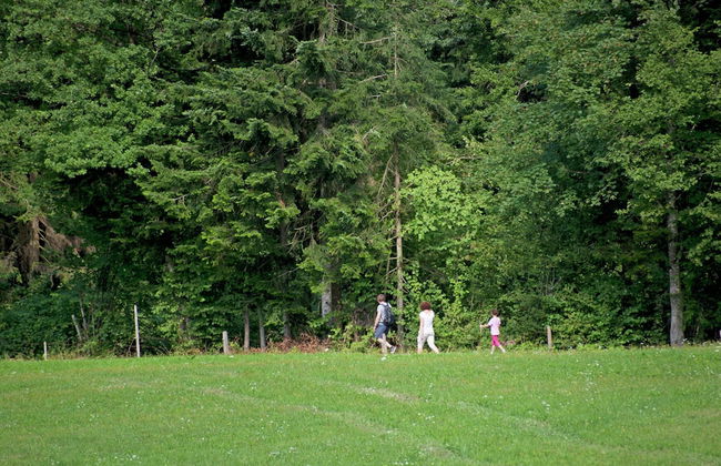 Chalet in Worgl Near Skiwelt Wilder Kaiser - Photo 30