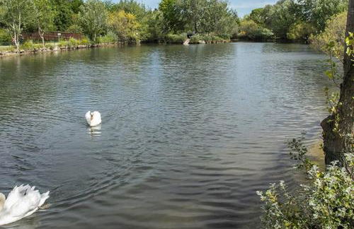 La provençale - Foto 19