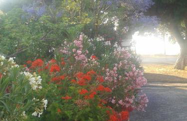 Elea Guesthouse - Photo 65