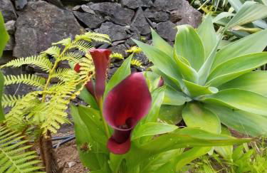 Sítio da Assumada - Foto 56