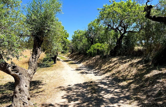 Unik Vacation La Noguera Rural Valls - Foto 50