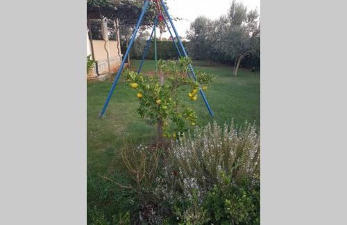 Comfortable apartment near Pula - Foto 16