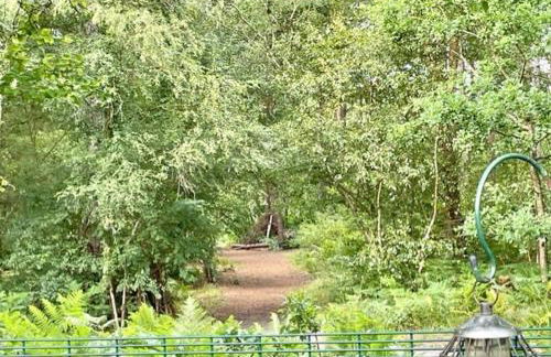 Forest View at Oakdene Forest Park - Leisure Passes Included! - Foto 19