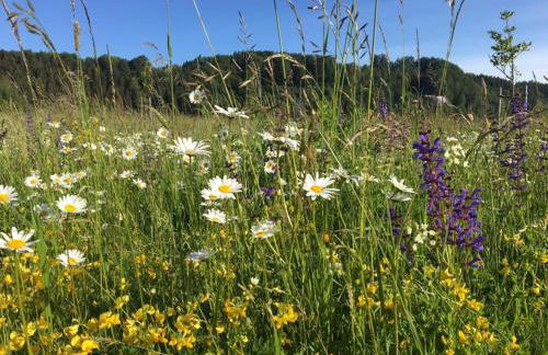 Wendelin`s Ferienwohnung - Photo 18