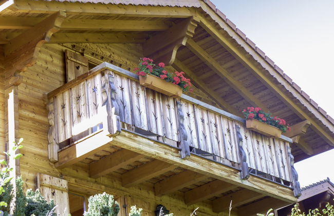 Ecureuil noir - Foto 7