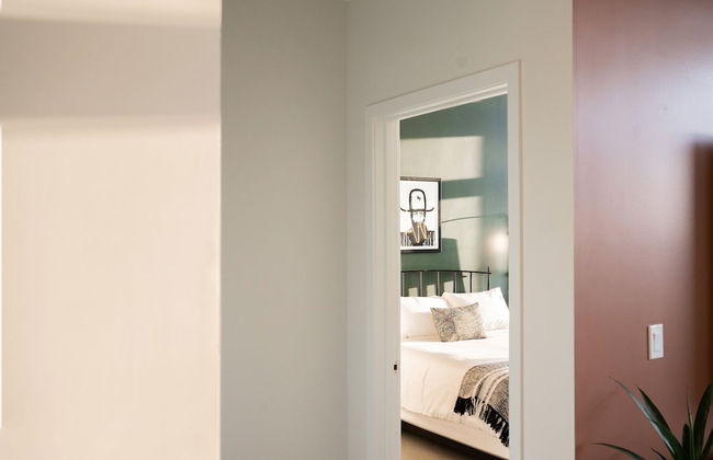 Bold & Elevated | Espadin LoHi - Foto 3