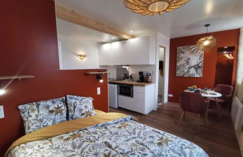 Les appartements du centre, refaits à neuf, climatisés, hyper centre, 50m à pieds des commerces, restaurants, parking gratuit - Foto 4