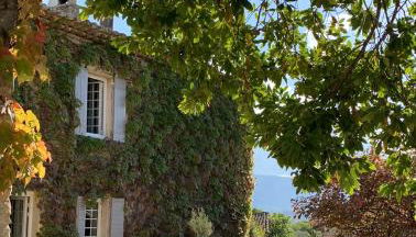 le mas du lavoir - Photo 2, Garden