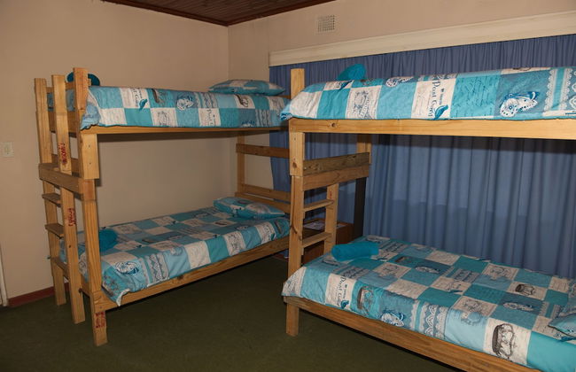 Near2Numbi - Foto 12