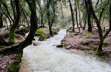 La Casita del Ojuelo - Foto 28