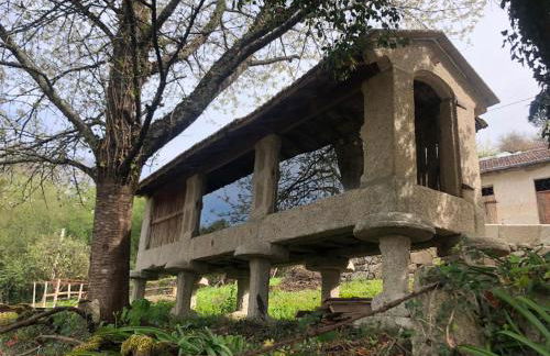 QUINTA do SOUTO BARCIADEMERA - Foto 69