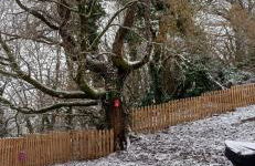 the tillys cottages - Foto 6