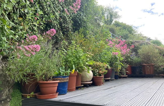 Stable Cottage - Braunton - Sleeps 4 - Pet Allowed - Foto 21