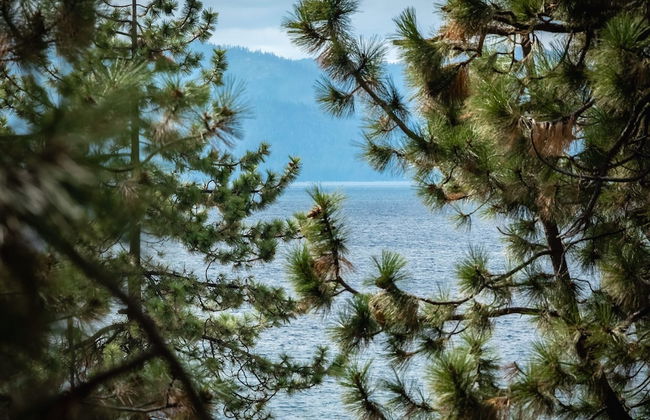 NEW Zephyr Cove Zen - Hot tub & Summer Pool - Foto 45