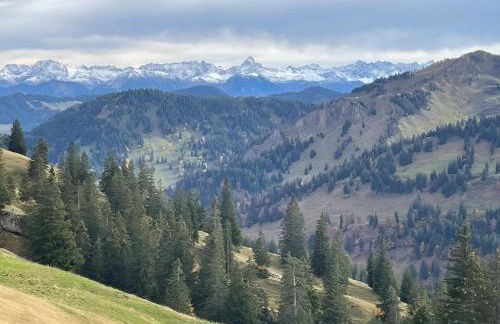 KUH'les Hideaway Steibis 3-Zimmer Ferienwohnung 55 m² - Foto 27