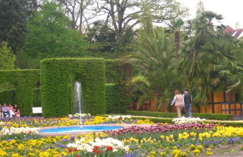 Apartment Haus Herdlitschke by Interhome - Foto 22