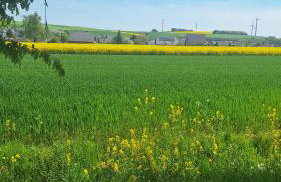 Feriendomizil-Vulkaneifel - Foto 51