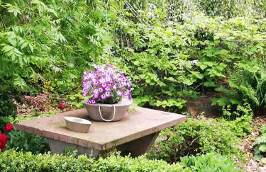 idylische Ferienwohnung - Foto 20