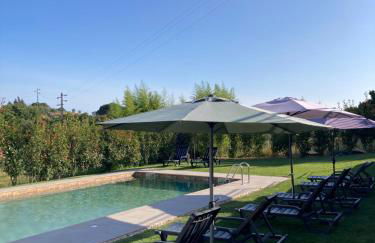 Quintinha Silvestre - Foto 1