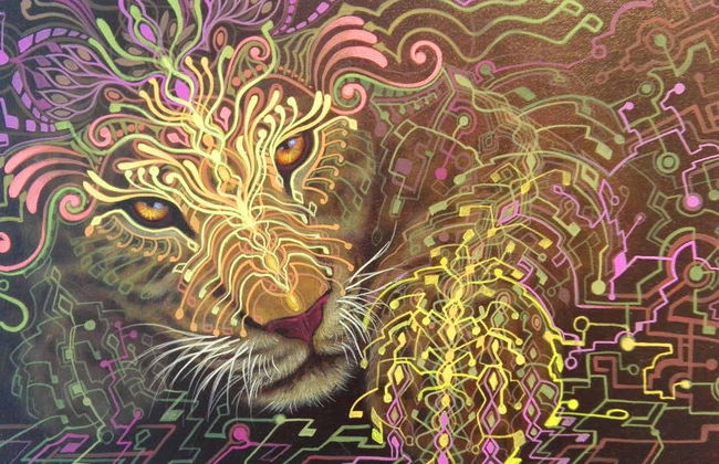 Visite panoramique de Pucallpa - Photo 6