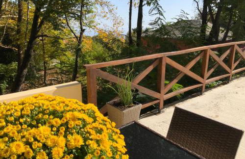 Pelion 7 Lives - Foto 17