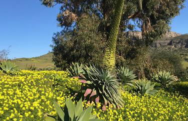 Casa Grande by Rosas Cantares - Foto 5