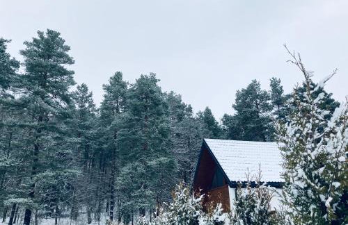 Palma de Masuria Ekskluzywny Dom na wyłączność - Foto 32