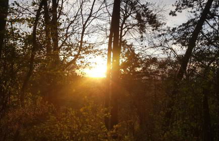 Ferienwohnung Lebensfreude Höxter im Weserbergland - Foto 46