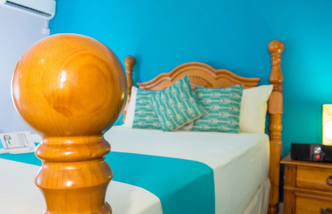 Casa Alexandria Guest Apartment - Foto 5