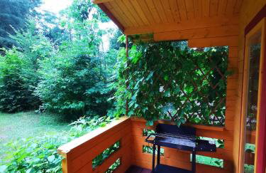 Leśne Domki Wejsuny - Foto 16