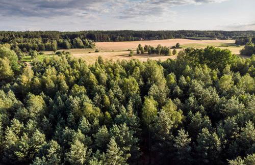 Łosia Chata - Foto 24