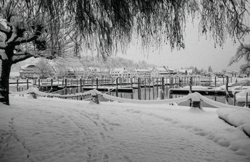 Haus zur Aach Tinyhouse - Foto 37