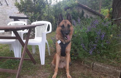 Agriturismo Campo Rosso - Foto 113