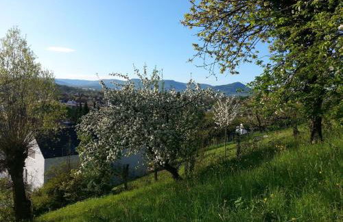 Teck-Apartment - Foto 12