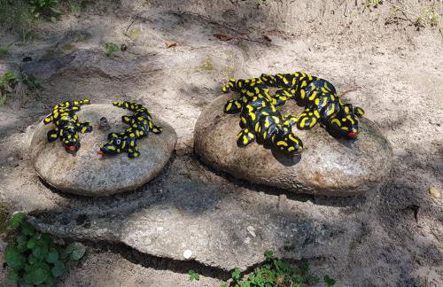 Apartment Bär by Interhome - Foto 39