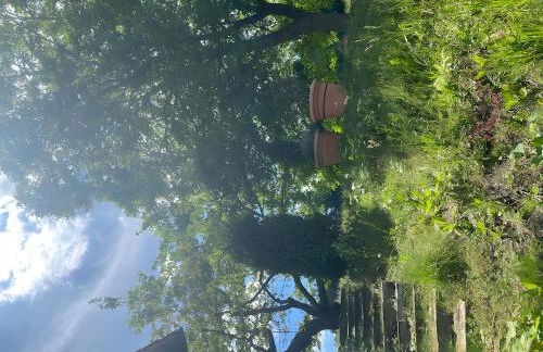 Ferienwohnung im Bodenseeraum - Foto 40